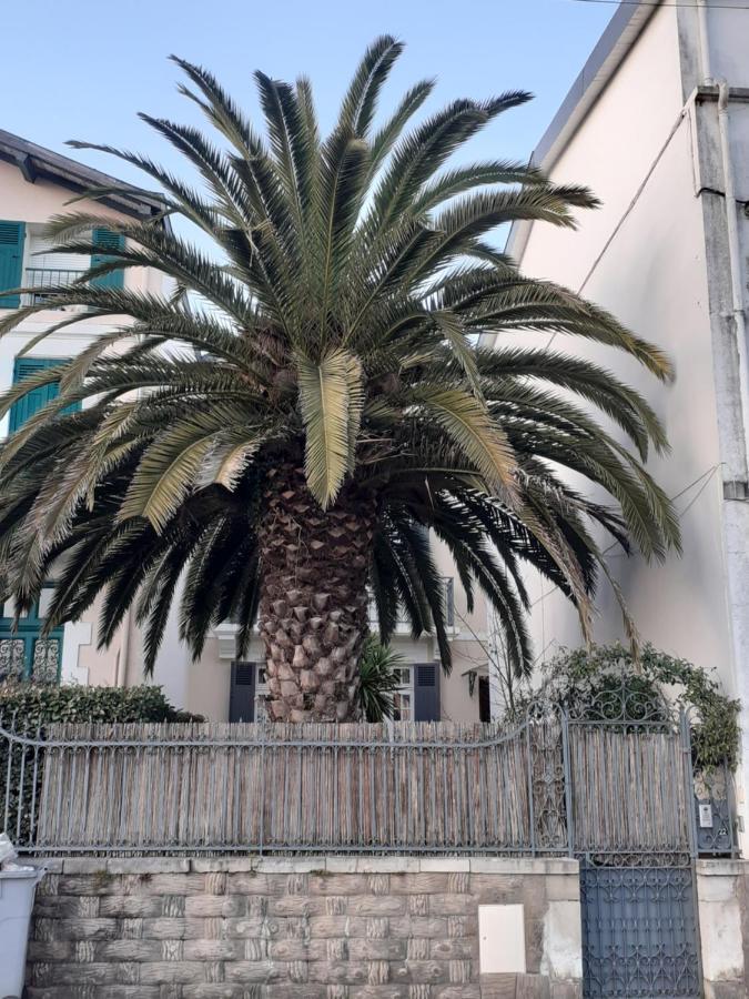 Dax A Pied! T1 2 Etoiles Centre Ville Balcon Luaran gambar
